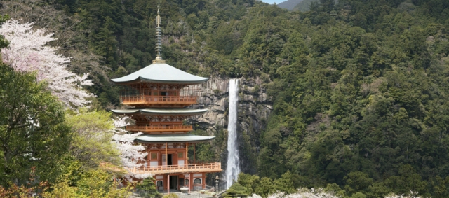 tour packages to japan from singapore