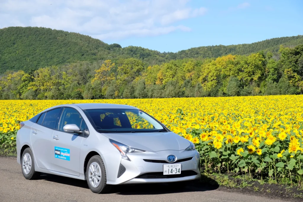 FMJ car next to a field of sunflowers