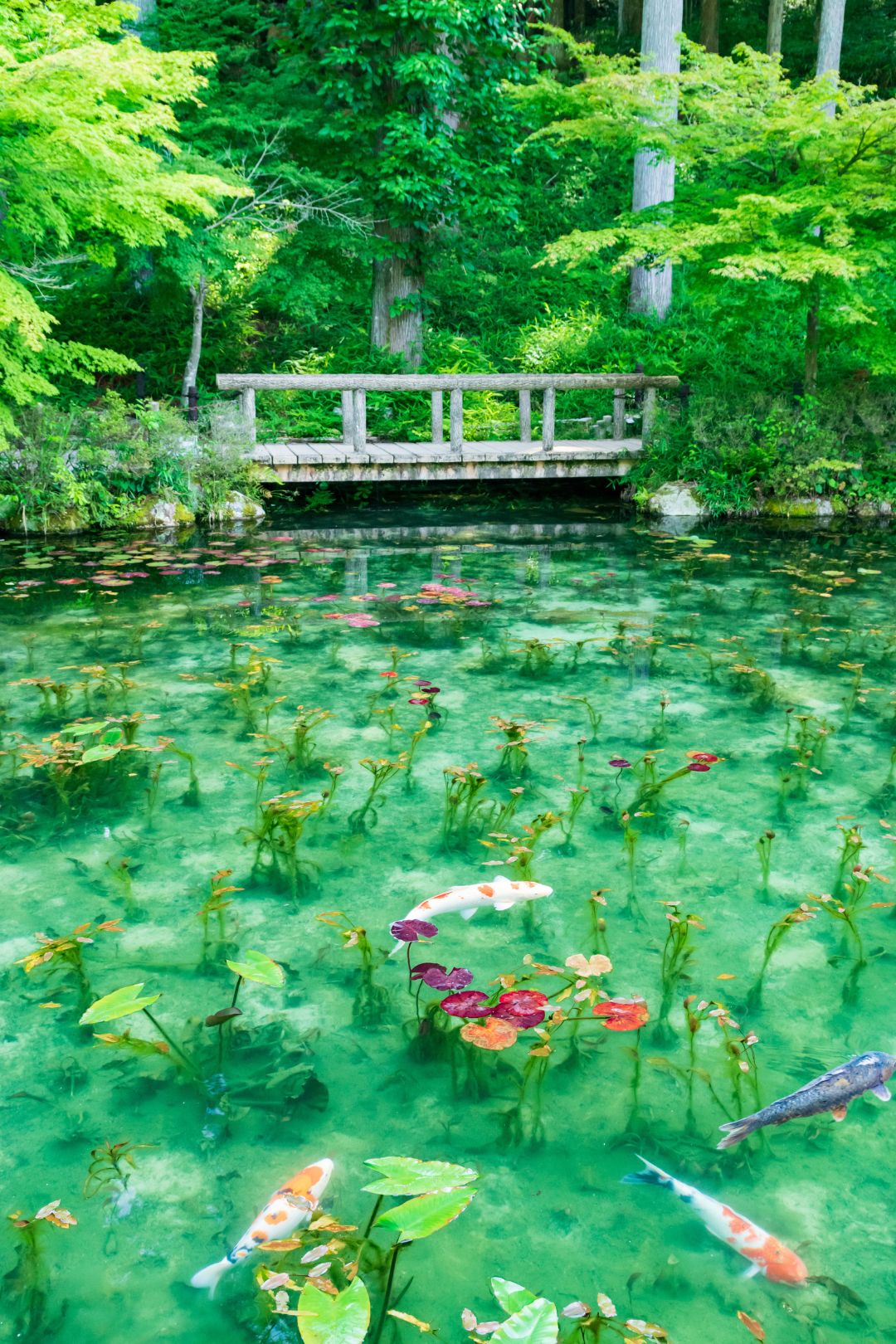 Follow Me JAPAN パンフレット HYBE INSIGHT] SEVENTEEN EXHIBITION 'FOLLOW FELLOW' IN JAPAN