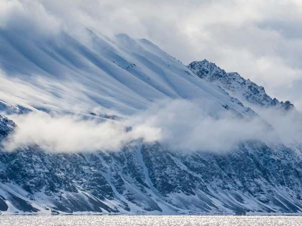 Arctic