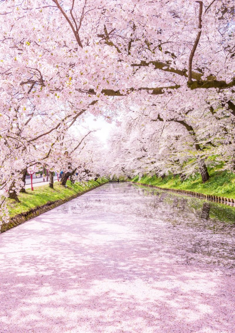 Hirosaki Park