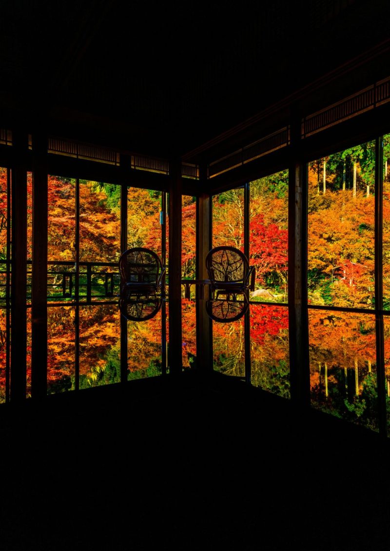 Kankyo Geijutsu no Mori