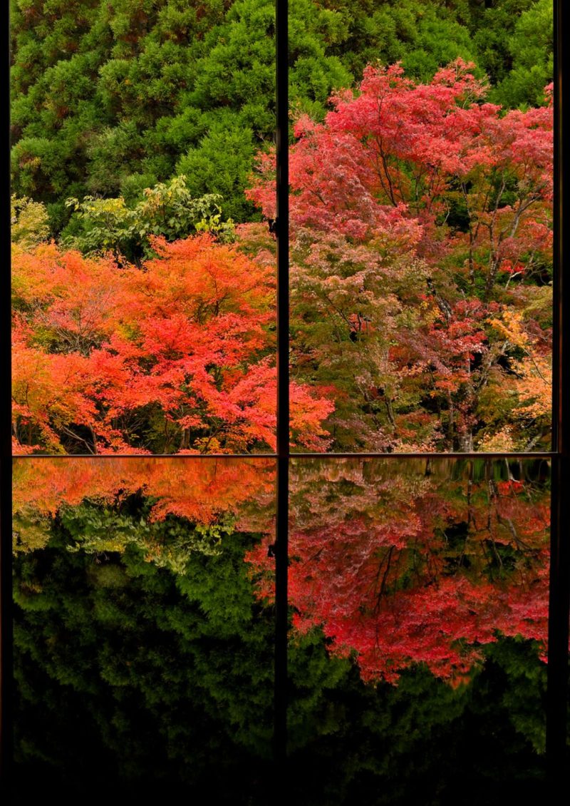 Kankyo getijutsu no mori